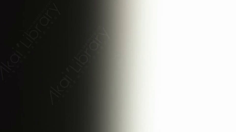 视频素材-炫光Rampant_Studio_Film_Leaks_099