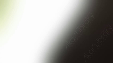 视频素材-炫光Rampant_Studio_Film_Leaks_100