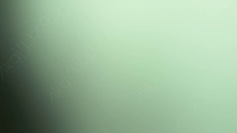 视频素材-炫光Rampant_Studio_Film_Leaks_103