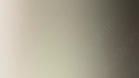 视频素材-炫光Rampant_Studio_Film_Leaks_118