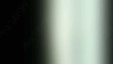 视频素材-炫光Rampant_Studio_Film_Leaks_120
