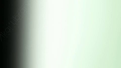 视频素材-炫光Rampant_Studio_Film_Leaks_127