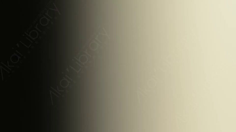 视频素材-炫光Rampant_Studio_Film_Leaks_128