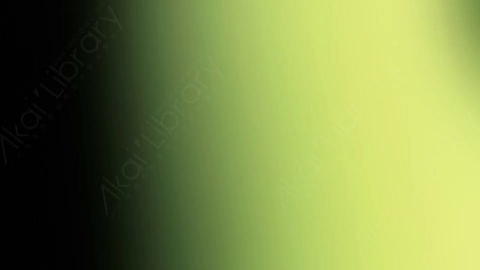 视频素材-炫光Rampant_Studio_Film_Leaks_129