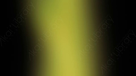视频素材-炫光Rampant_Studio_Film_Leaks_131