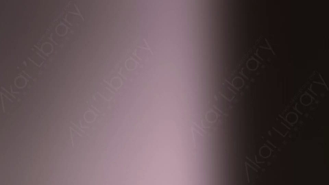 视频素材-炫光Rampant_Studio_Film_Leaks_132
