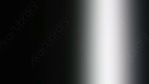 视频素材-炫光Rampant_Studio_Film_Leaks_134
