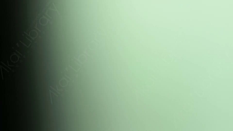 视频素材-炫光Rampant_Studio_Film_Leaks_146