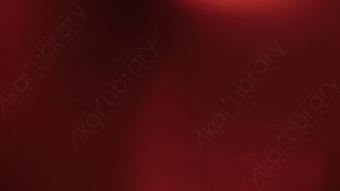 视频素材-漏光Red_Ambience_2