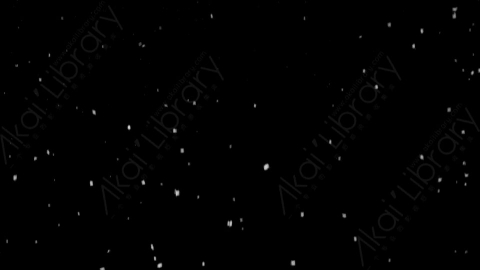 视频素材-下雪雪花飘落SL_Classic_4