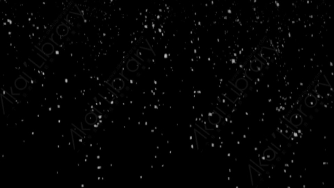视频素材-下雪雪花飘落SL_Classic_6