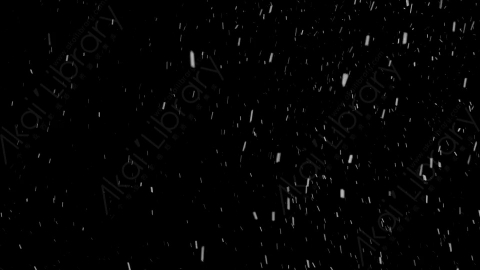 视频素材-下雪雪花飘落SL_Ethereal_13