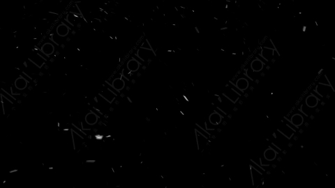视频素材-下雪雪花飘落SL_Ethereal_14