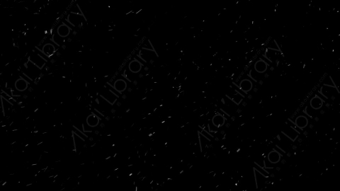视频素材-下雪雪花飘落SL_Ethereal_18