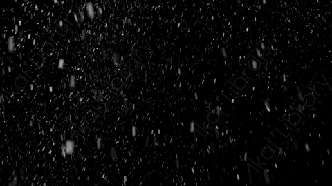 视频素材-下雪雪花飘落SL_Ethereal_20