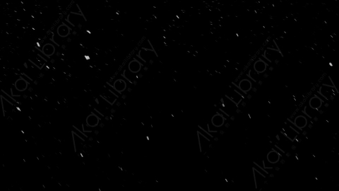 视频素材-下雪雪花飘落SL_Ethereal_5