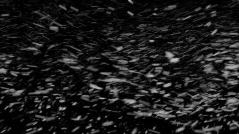 视频素材-下雪雪花飘落SL_Intense_6