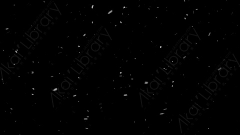 视频素材-下雪雪花飘落SL_Weightless_11