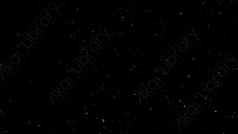 视频素材-下雪雪花飘落SL_Weightless_14