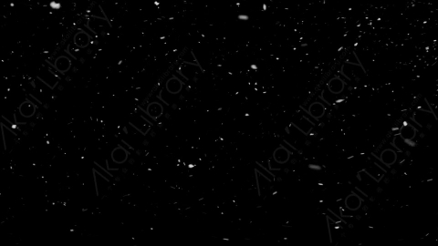 视频素材-下雪雪花飘落SL_Weightless_15