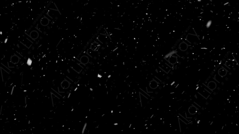 视频素材-下雪雪花飘落SL_Weightless_16