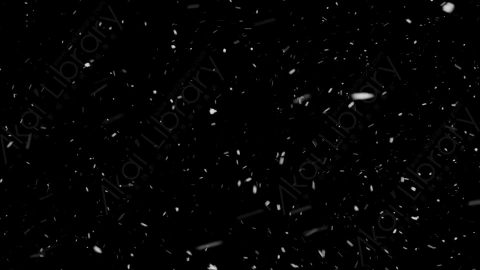 视频素材-下雪雪花飘落SL_Weightless_17