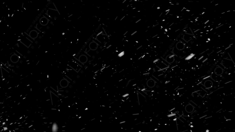 视频素材-下雪雪花飘落SL_Weightless_18