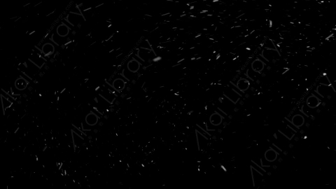 视频素材-下雪雪花飘落SL_Weightless_19