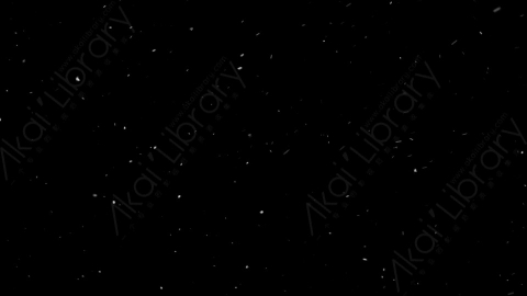 视频素材-下雪雪花飘落SL_Weightless_1