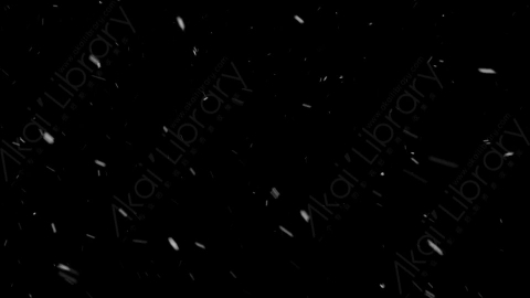 视频素材-下雪雪花飘落SL_Weightless_20
