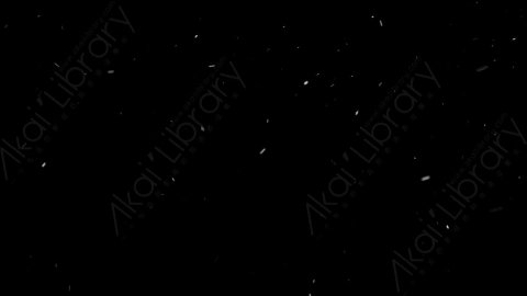 视频素材-下雪雪花飘落SL_Weightless_2