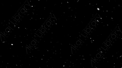 视频素材-下雪雪花飘落SL_Weightless_3