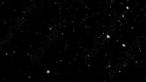 视频素材-下雪雪花飘落SL_Weightless_4