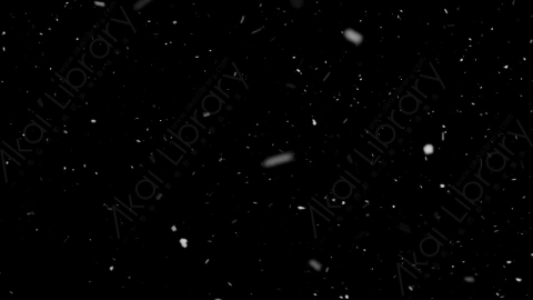 视频素材-下雪雪花飘落SL_Weightless_5