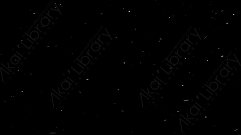 视频素材-下雪雪花飘落SL_Weightless_6