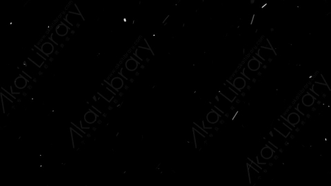 视频素材-下雪雪花飘落SL_Weightless_9