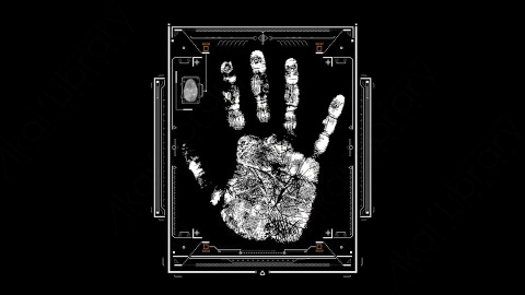 AE模板-Scanning_10手掌HUD科技扫描识别界面元素.zip