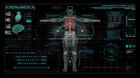 AE模板-Screen UI Medical_HUD科技人体医疗信息分析界面.zip