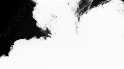 视频素材-水墨墨水Single_Ink_Drop_White_On_Black_4