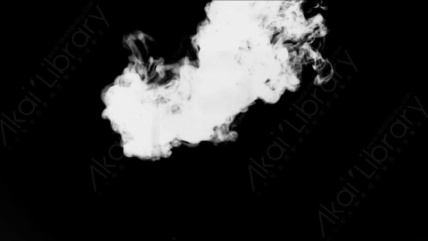 视频素材-水墨墨水Single_Ink_Drop_White_On_Black_7