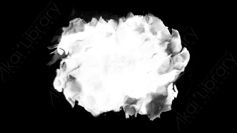 视频素材-Splatter_05水墨晕染