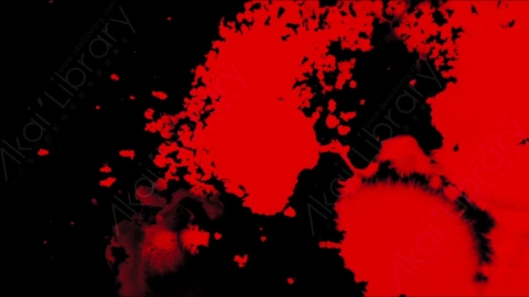视频素材-血液晕染Splatter_Soaking_05