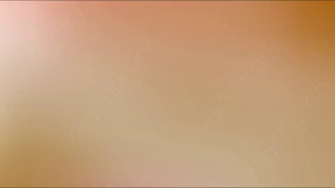 视频素材-漏光转场Transition_06