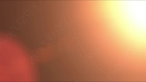 视频素材-漏光转场Transition_09