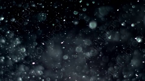 视频素材-灰尘颗粒Bokeh_DOF_02