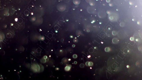 视频素材-灰尘颗粒Bokeh_DOF_03