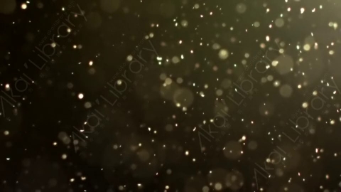 视频素材-灰尘颗粒Bokeh_DOF_09