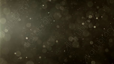 视频素材-灰尘颗粒Bokeh_DOF_11