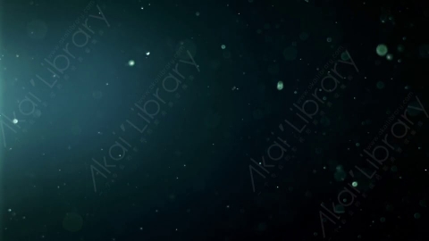 视频素材-灰尘颗粒Bokeh_DOF_12