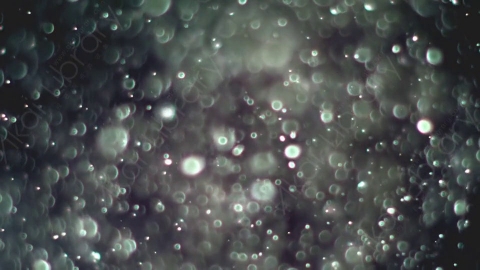 视频素材-灰尘颗粒Bokeh_Dense_02